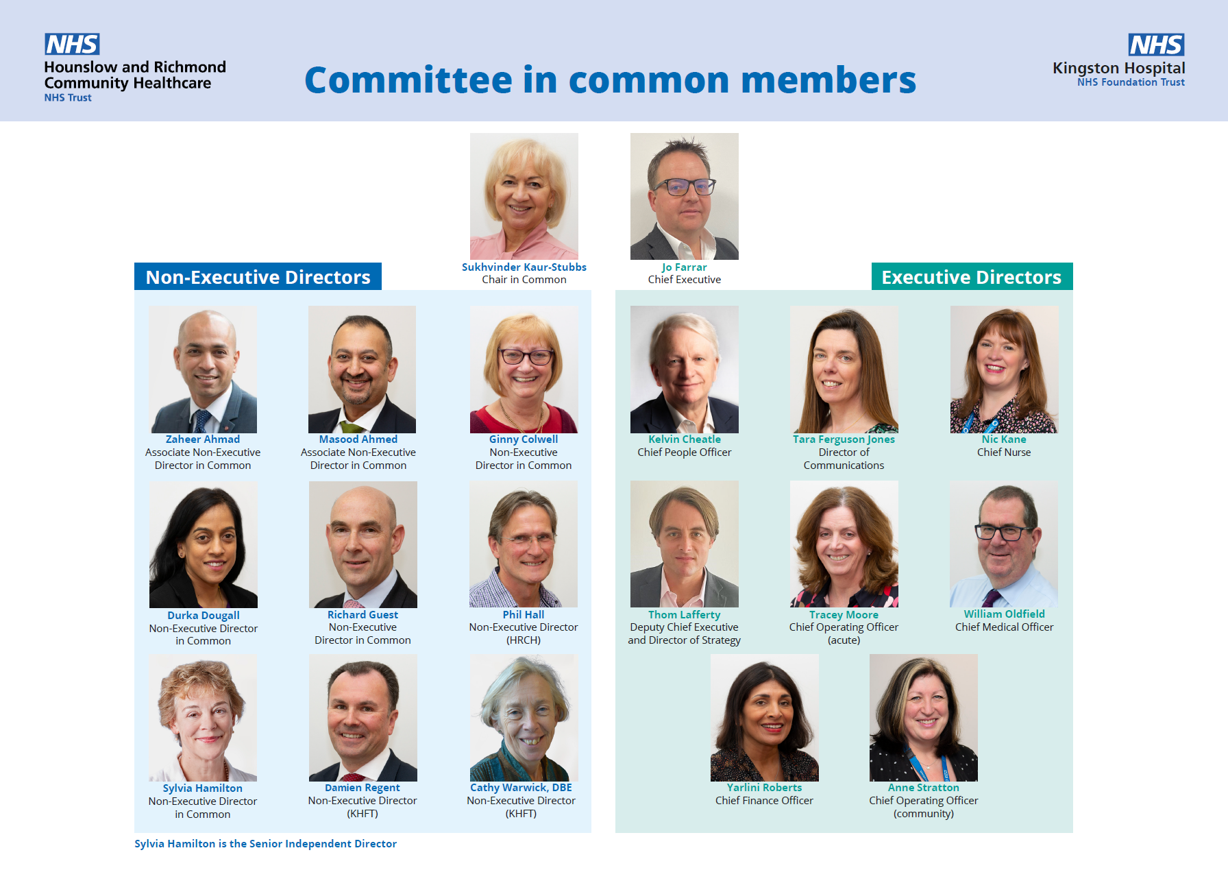 Committee in Common chart - July 23.png