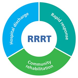 RRRT - service pie-chart.jpg